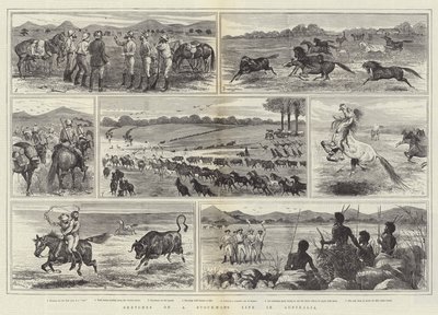 Stockman在澳大利亚生活的草图 作者 Alfred Courbould